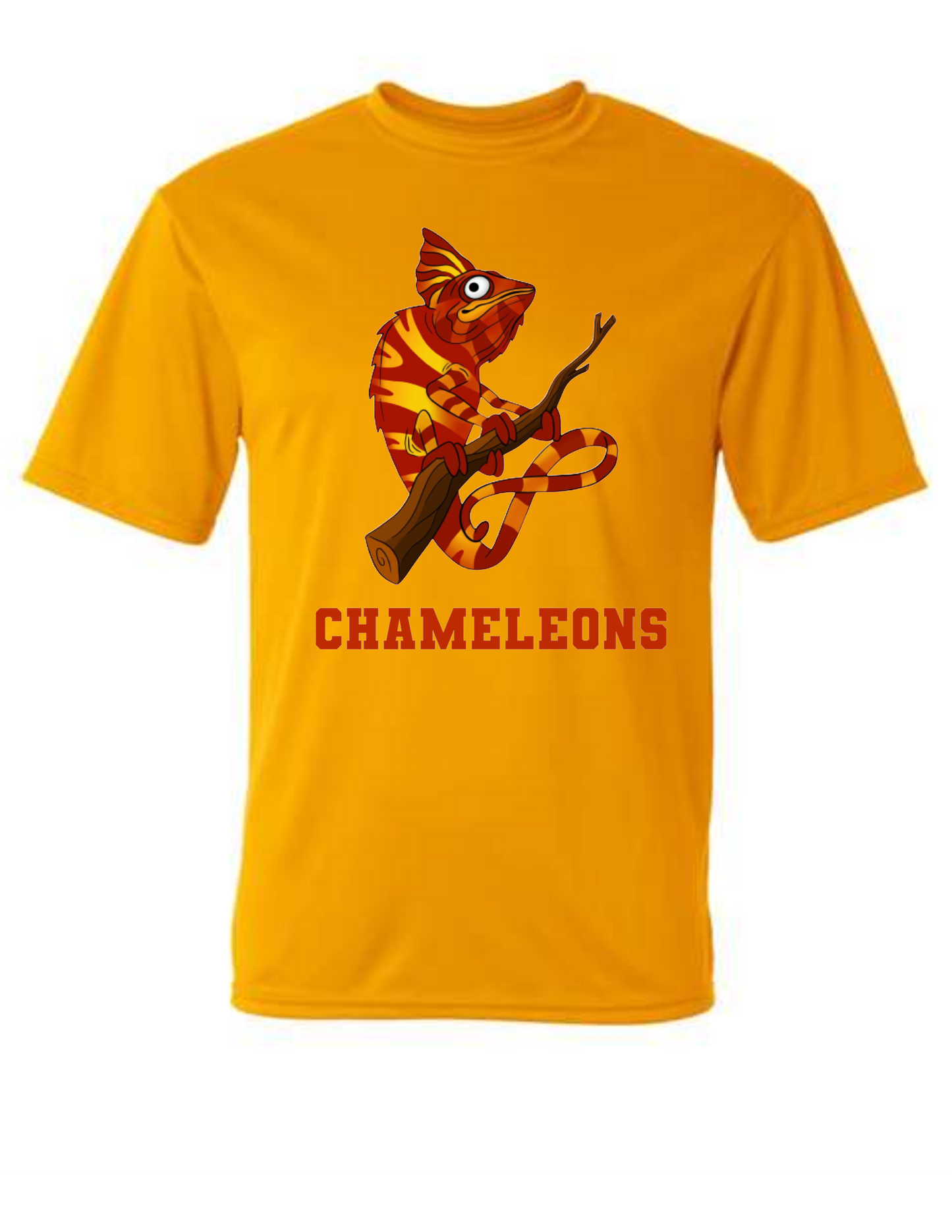 Infinite Minds Academy Spirit Wear Jersey