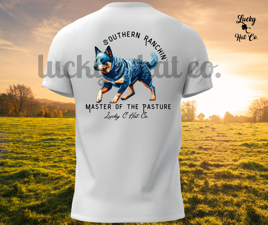 Lucky C Hat Co. Southern Ranchin' Master of the Pasture Sweatshirts and Tees